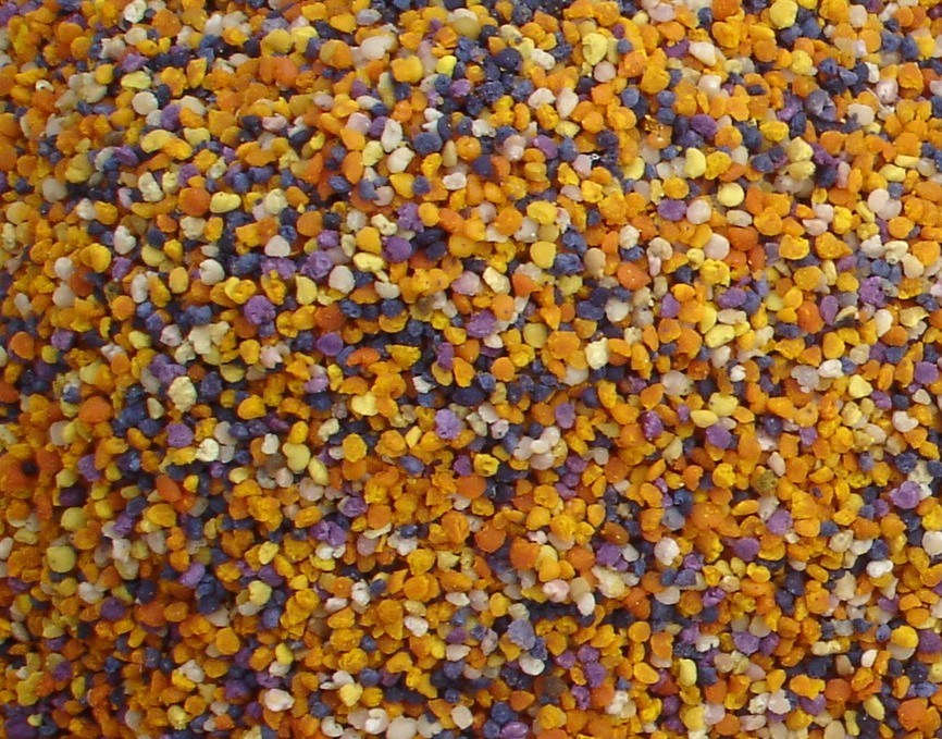 Fotografia Apispax – Polén 1
